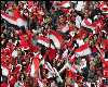 Egyptian fans